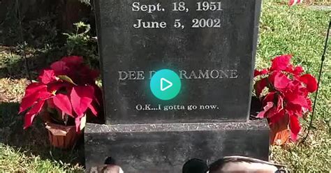 Ducks Have Been Seen At Dee Dee Ramones Gravestone Everyday Since May The 4th 2020 Album On Imgur