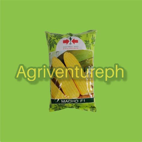 Macho F1 Hybrid Sweet Corn Seeds 1 Kilo East West Seeds Shopee