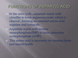 ASPARTATE AMINO ACID | PPT