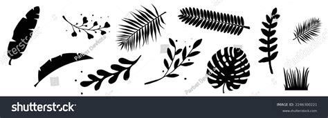 Set Vector Silhouettes Tropical Leaves Monochrome Stock Vector Royalty