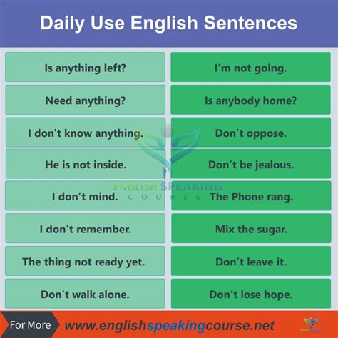 Daily Use English Sentences Phrases English Sentences