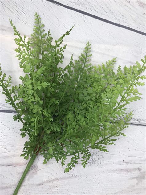 Fern Bundle Bush Kelea S Florals