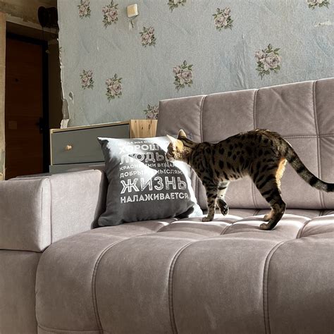 Диван BOSS.XO велюр Alkantara серый / WOOD Rock купить по низкой цене ...