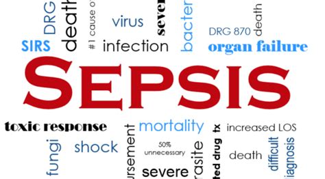 Emdocs Net Emergency Medicine Educationearly Sepsis Why Do We Miss