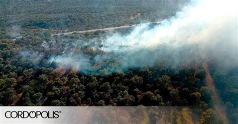 Controlado El Incendio Forestal Declarado En Espiel