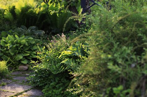 Снова дача: home_and_garden — LiveJournal
