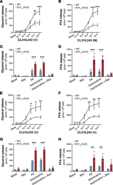 Jci Insight P Y Receptor Deficiency Favors Adipose Tissue Lipolysis