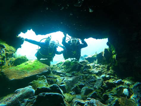 Nick's Scuba Squad- NSS - front view | Facebook