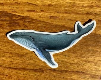 Whale Sticker Humpback Whale Sticker Whale Decal Laptop Sticker