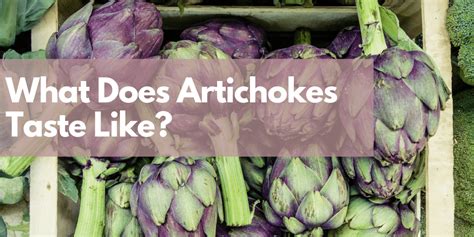 What Does Artichokes Taste Like Foodlve