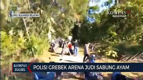 Polisi Gerebek Arena Judi Sabung Ayam Video Dailymotion