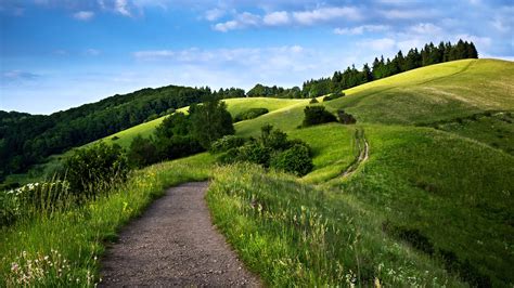 Landscape Sky Trees HD Wallpapers Wallpaper Cave