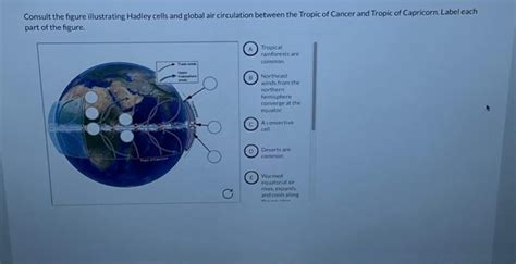 Solved Consult The Figure Illustrating Hadley Cells And