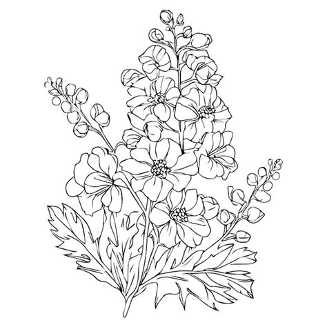 Premium Vector Delphinium Flower Bouquet Drawings Black Larkspur