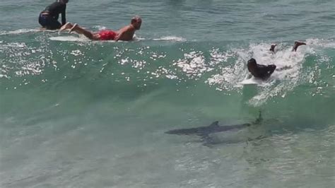 Heart Stopping Moment Surfer Narrowly Misses Shark While Catching A