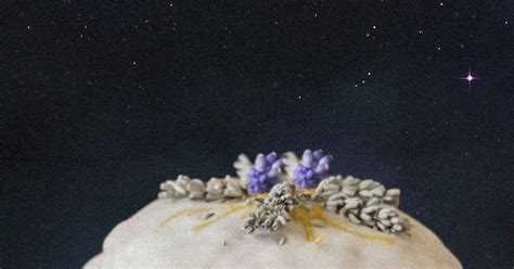 Low cost Photoshop | Пикабу