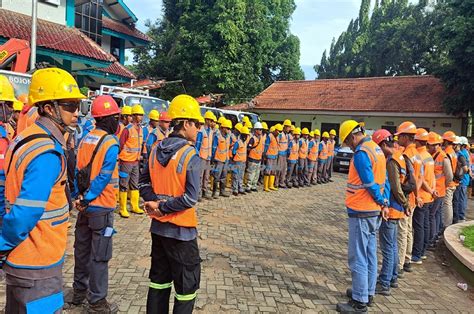 Demi Pengamanan Jaringan Listrik Pln Lakukan Pemangkasan Ranting Pohon