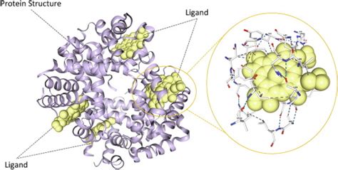 Exploring The Computational Methods For Protein Ligand Binding Site