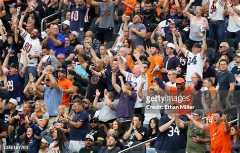 3,929 Chicago Bears Fans Stock Photos, High-Res Pictures, and Images ...