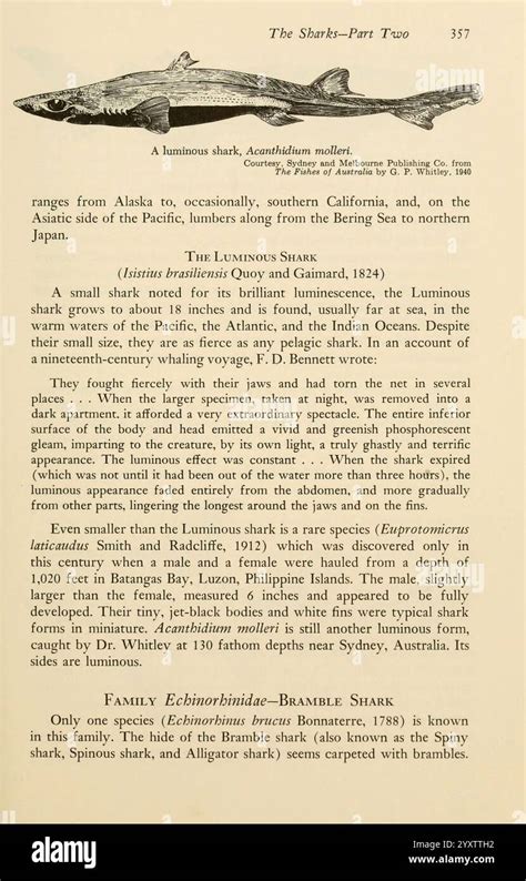 19th century scientific classifications hi-res stock photography and ... 