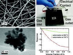 Electrospun Carbon Nanofibrous Mats Surface Decorated With Pd