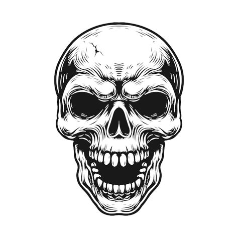 Premium Vector Hand Drawn Human Skull Illustration