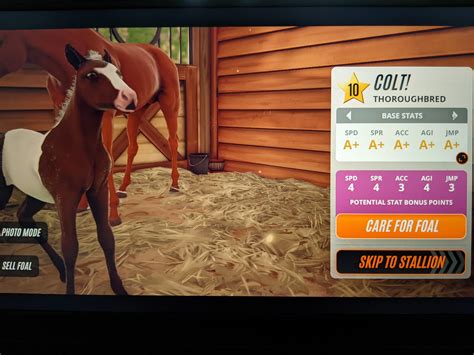 Grade 10 A+ horse, finally! : r/rivalstars