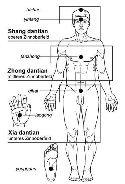 Datei Dantianmensch  Tai Chi Qigong Tai Chi Tai Chi Chuan