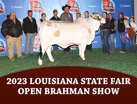 2023 Louisiana State Fair Open Brahman Show – The Brahman Journal