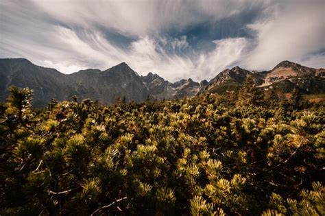 Premium Photo | Hiking in national park high tatras hiiking to zelene ...