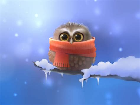 Cold Owl Scarf Baby Owl Cold HD Wallpaper Peakpx