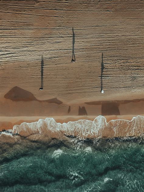 Drone Shot of People on a Beach · Free Stock Photo