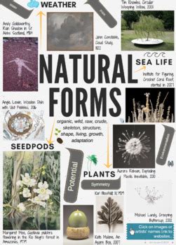 NATURAL FORMS Theme Mind Map Interactive Artist Links AQA GCSE ESA 2019