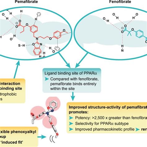 Durable Lowering Of Triglycerides With Pemafibrate The Triglyceride