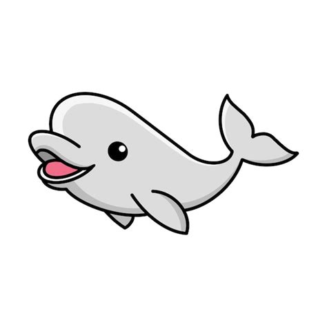 Premium Vector | Beluga Whale Vector Illustration