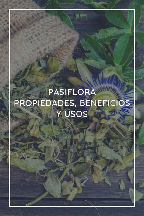 Pasiflora Propiedades Beneficios Y Usos