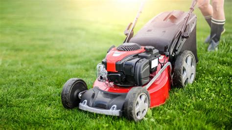 The Ultimate Lawn Care Guide — Essential Tips And Tricks For Getting The Perfect Lawn Tom S Guide