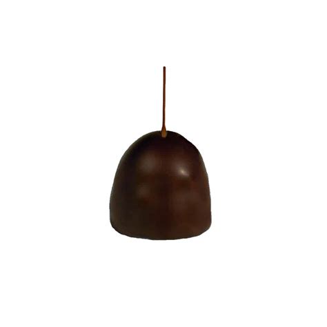 Ballotin chocolat T2 375 grs Les Délices Guy Pécou