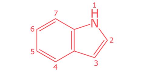 Indole | Metabolon