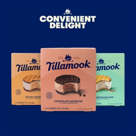 Tillamook Mint Chocolate Chip Ice Cream Sandwiches 4 Ct Kroger