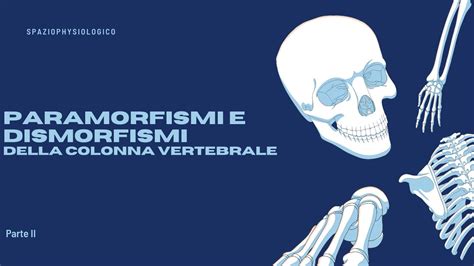 Paramorfismi E Dismorfismi Della Colonna Vertebrale Parte II YouTube