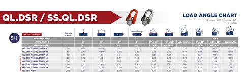 Lyftögla Codipro QL DSR M20 Maxlast 1 7 ton i 90 lyftvinkel