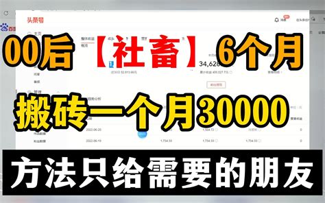 00后社畜6个月搬砖，搬砖一个月收入30000，具体方法只分享给需要的朋友！！！ 哔哩哔哩 Bilibili