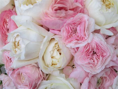 Light Pink Peonies Bouquet Wallpapers - Wallpaper Cave