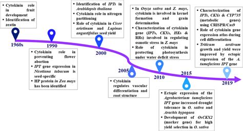 Cytokinin Timeline From Discovery To Crop Plant Application A