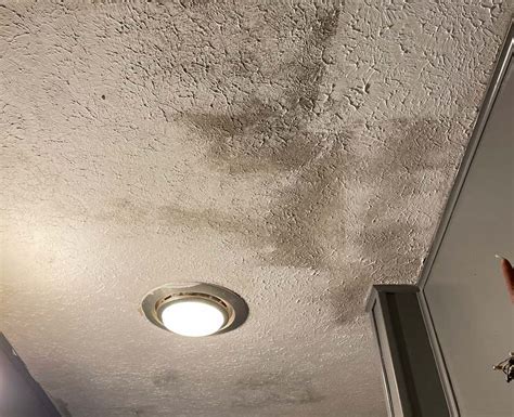 How To Get Rid Of Mold On Basement Ceiling Openbasement