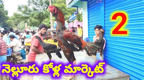 నెల్లూరు నాటు కోళ్ల మార్కెట్ 3 9 2023 Pets Market Nellore Sunday Kolla