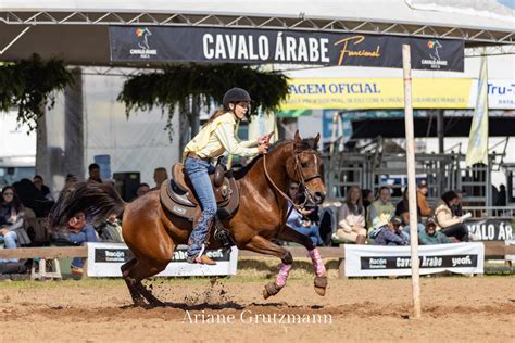 Expointer 2023 impulsiona o crescimento do cavalo Árabe no Sul do país