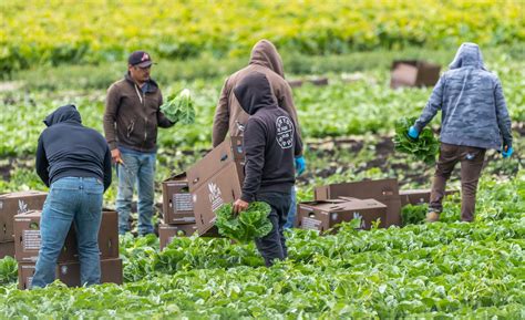unions  embrace migrant workers   future   labor movement