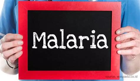 Waspada Gejala Penyakit Malaria Jangan Abaikan Rumah Sakit Delima